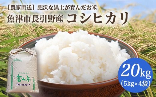 【早期予約】令和7年度産 肥沃な黒土で育ったお米 魚津市長引野産 こしひかり 20kg（5kg×4） ※北海道・沖縄・離島への配送不可 ※2025年10月上旬～12月下旬頃に順次発送予定