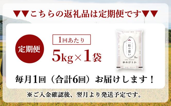 令和7年産 北海道 赤平産 ゆめぴりか 5kg 【限定寄附額】 6ヵ月連続お届け 白米 精米 米 北海道 ごはん ご飯 ライス おにぎり 定期便 定期 お楽しみ 6回