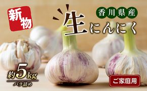 ご家庭用生にんにく 約5kg 野菜 野菜セット 乾燥にんにく ニンニク 約10kg 