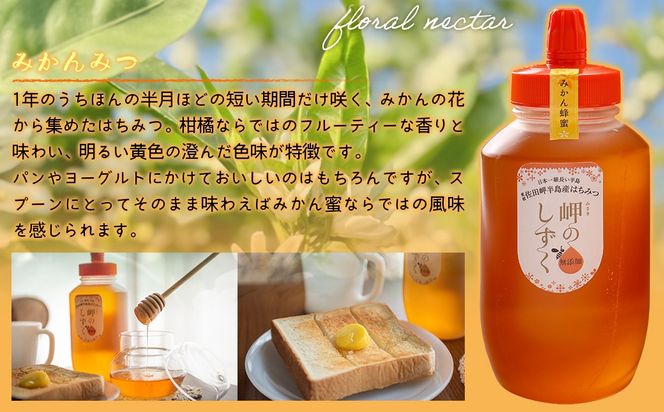 【みかん蜜】みかん農園のはちみつ 1kg×3本入 ※離島への配送不可 IKTC015