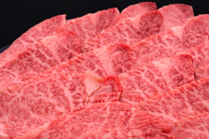 訳あり 肉 博多和牛 ヒレ焼肉 600g [久田精肉店 福岡県 宇美町 um40bsi440002] 訳アリ 牛肉 牛 ヒレ肉 焼肉 ヘルシー 冷凍