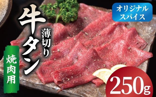 099H4377 焼肉 牛タン 薄切り オリジナルスパイス  小分け お試し少量パック（250g×1P）