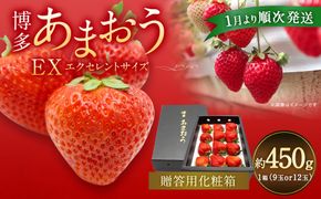 1月より順次発送!「博多あまおう」EX　贈答用化粧箱　約450g 1箱【ほたるの里】_HA0752