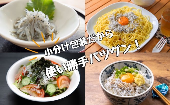 冷凍釜揚げしらす1kg（100g×10パック） / シラス 厳選 小分け 冷凍便 大容量 お米のおとも【dig003A】