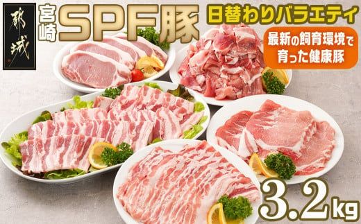 「宮崎SPF豚 」日替わりバラエティ3.2kgセット_K9-003 