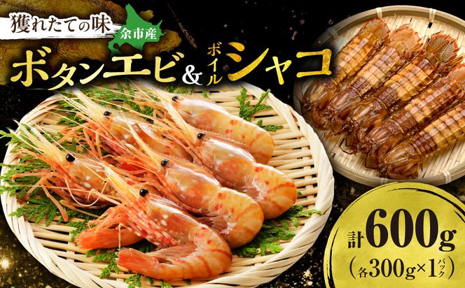 獲れたての味！北海道余市産 ボタンエビ 300g＋ボイルシャコ300g セット 地元漁港直送 急速超低温冷凍 刺身用 海鮮丼 生食可 国産 天然 食べ比べ 海の幸 詰め合わせ 送料無料_Y022-0027