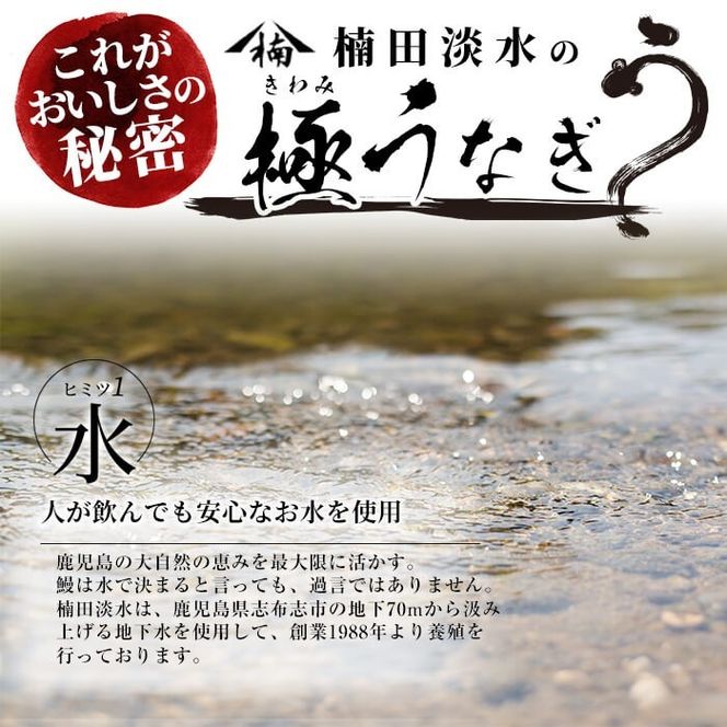 極うなぎ蒲焼き2尾(計220g以上)と真空包装米なつほのか(計600g・2合相当×2P) a5-295