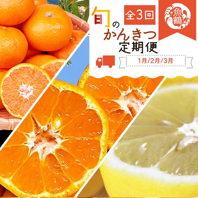 〈定期便〉【1・2・3月 全3回】紀州和歌山産旬のフルーツセット(みかん・ポンカン・レモン)