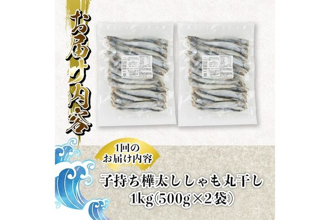 【定期便・全4回】3ヵ月に1回お届け！子持ち樺太ししゃも丸干し (総量4kg・1kg×4回) 干物 ししゃも シシャモ 丸干し 魚 海鮮 冷凍 大分県 佐伯市【AP86】【(株)ヤマジン】