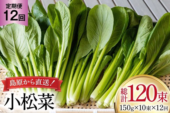 y茧szAI331  12  10 [  ܂ ₳ ① t c_ 茧 s ]