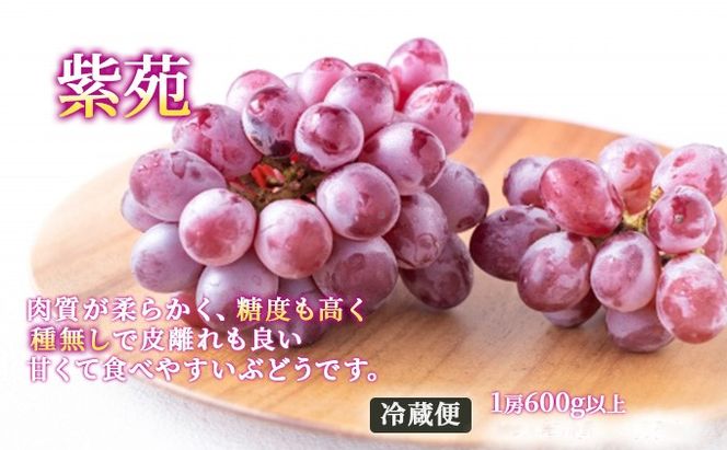 フルーツ 2026年 先行予約 晴れの国 岡山 の フルーツ 定期便 6回コース 桃 ぶどう 梨 岡山県産 国産 フルーツ 果物 ギフト