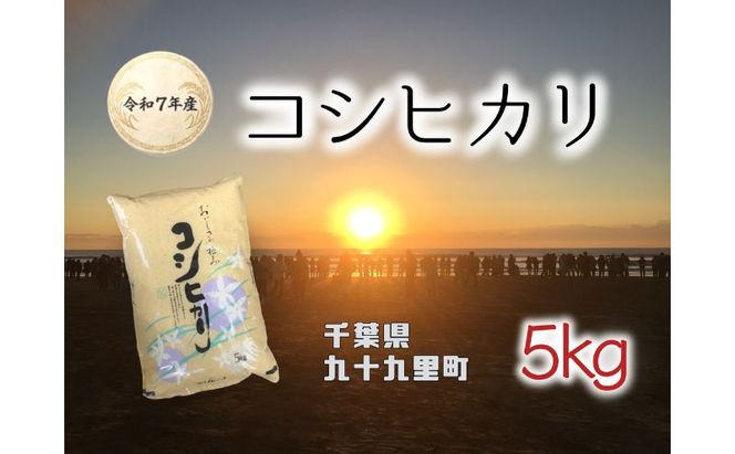 お米 千葉県産コシヒカリ5kg 米 コメ 精米 白米 甘い コシヒカリ こしひかり 九十九里町 千葉県