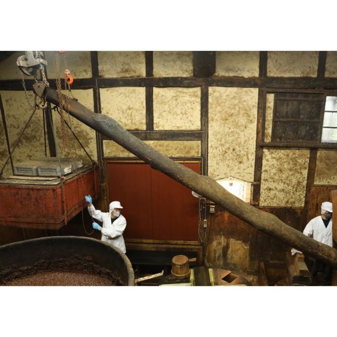 はさめずこいいろ6本セット【hkst0003】