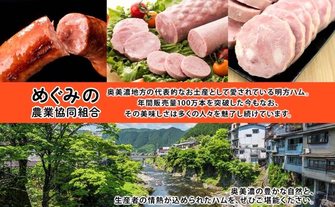 明方 ハム Aセット ボロニア ソーセージ フランクフルト JA ブランド 豚肉 お肉 国産 熟成 塩分 控えめ 豚腸 バーベキュー BBQ 加工品 お取り寄せ 贈答 ギフト 送料無料 めぐみの農業協同組合 岐阜県 美濃市