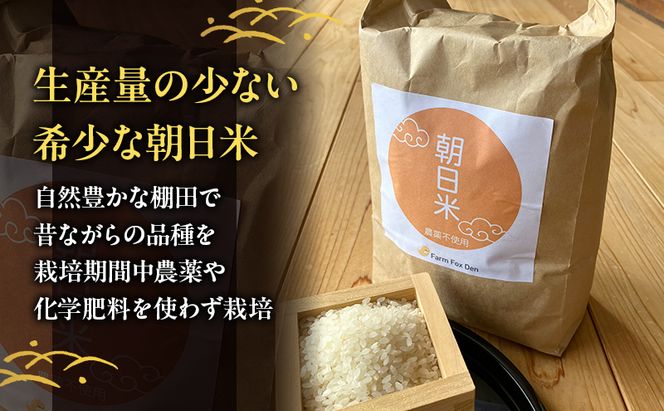 先行受付 農薬不使用 白米 ホタル舞う里山の棚田米 精米10kg 令和8年産 朝日2kg×5袋