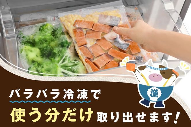 骨取り済カットチリ産銀鮭 1kg