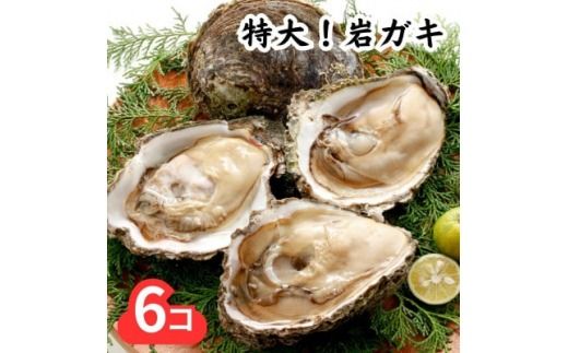 特大!天然岩牡蠣6コ(約5kg～6kg・特上・殻付き生食用)CAS冷凍カキ 海鮮バーベキューBBQに