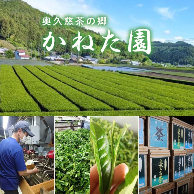 【農林水産大臣賞受賞】かねた園の奥久慈茶 大子銘茶 2種セット 計200g（100g×各1袋）（CK002）