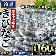 鹿児島県産！阿久根のきびなごお刺身セット(計160尾) 冷凍でお届け！ 魚介類 海鮮 魚 きびなご キビナゴ 刺身 さしみ 刺し身 青魚 子魚 小分け【椎木水産】akn054-05