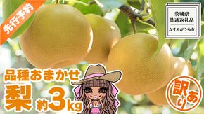 【 先行予約 】 【 訳あり 】 品種おまかせ 採れたて 完熟天使の 甘梨 約 3kg（ 茨城県共通返礼品： かすみがうら市 ） 【 2026年8月中旬頃発送 】  フルーツ 果物 なし ナシ 旬 新鮮 旬 期間限定 甘い 国産