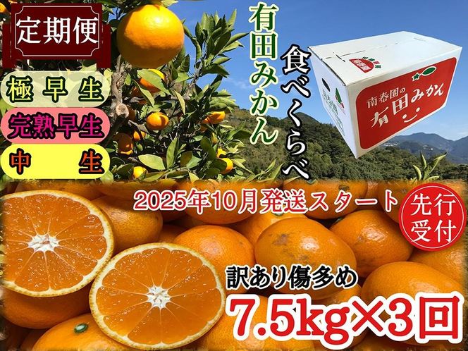 定期便 先行受付 2025年 10月発送スタート 訳あり 傷多め 7.5kg × 3回 コース 有田みかん 食べくらべ 3種 南泰園 BS826