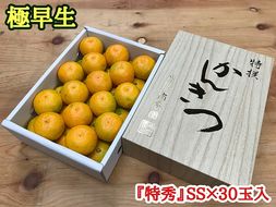 極早生 みかん 有田 化粧箱 小箱 特秀 SSサイズ 約2kg 30玉入 南泰園_ZF6024n