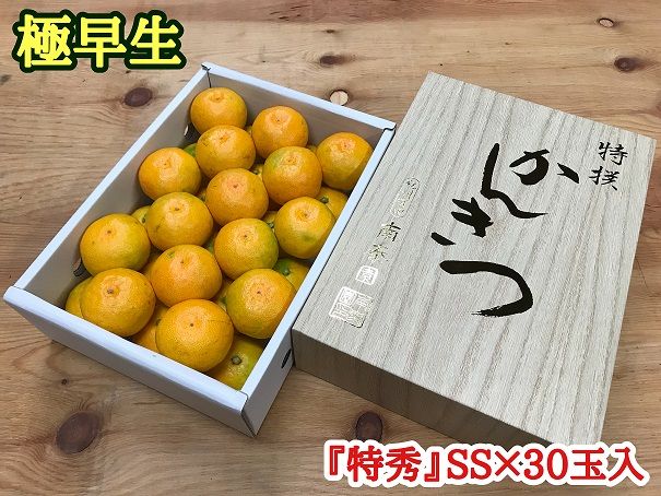 極早生 みかん 有田 化粧箱 小箱 特秀 SSサイズ 約2kg 30玉入 南泰園_ZF6024n