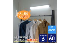 LED多目的灯 明暗人感60cm 昼光色ALT-3060PIR(D) 272183_AZ247
