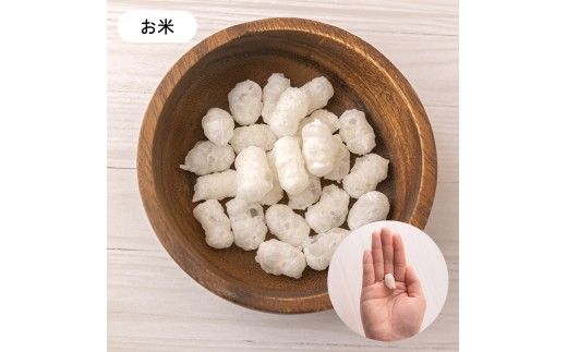 【2ヵ月定期便】いぬのお米のおやつ25g×3袋 いぬのご褒美チップス20g×2袋 ペットフード 犬 無添加 おやつ 美味しい ご褒美 ドッグフード いぬ 犬用 いぬ用 愛犬用 R030-015