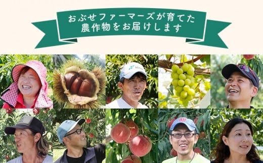 メイグランド 約2.6kg ［おぶせファーマーズ］ 果物 フルーツ ネクタリン 長野県産 信州産 令和8年産 【2026年7月中旬～8月上旬発送】