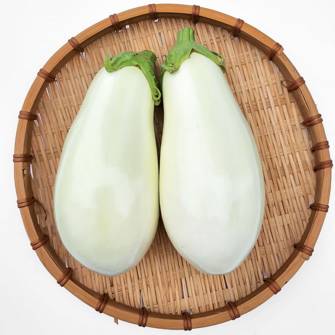 【CF-R7hbk】KYN003　先行予約 白ナス6本 - なす 茄子 1本180g以上 野菜 新鮮 美味しい グラタン シチュー ラタトゥイユ 洋食 和食 料理 お取り寄せ ふるさとのうぜい 故郷納税 6000円 返礼品 高知県 高知