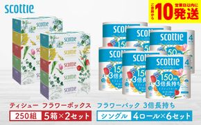 【スコッティ】ティシュー フラワーボックス 250組（5箱パック×2セット）＋フラワーパック 3倍長持ち（4ロール(シングル)パック×6セット）ティッシュ トイレットペーパー 日用品
