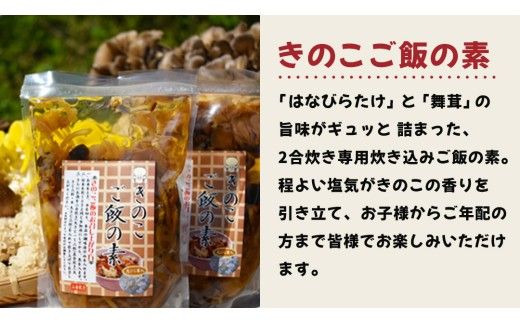 きのこ の 加工品 詰め合わせ 5点セット （茨城県共通返礼品：城里町） きのこミックス 野菜 水煮 国産 きのこ ご飯の素 国産 うどん そばの具 乾燥 しいたけ 乾燥 きくらげ バラエティ セット 乾燥きのこ  [DY004us]