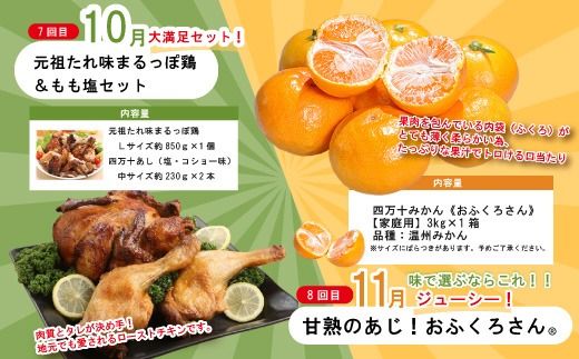 【 年末限定 】 8回 定期便 四万十 人気グルメ お楽しみ定期便 しまんと ふるさと定期便 10万円 Aコース 今だけ 鰻 牛肉 鶏肉 豚肉 パン 魚 タタキ 鰹 カツオ みかん 柑橘 フルーツ ケーキ ごちそう 贅沢 豪華 高知 四万十市 R7-614