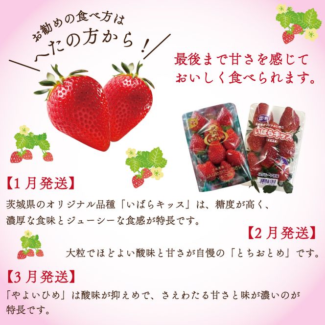 【2027年1月より順次発送】【3回定期便】【いちご食べ比べ】「いばらキッス」・「とちおとめ」・「やよいひめ」(4パック入×3回)JAなめがたしおさい直送便(AE-64)