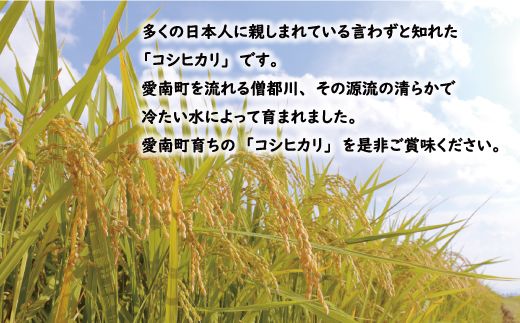 先行予約 新米 令和6年産 定期便 4回 試せる 4種 合計 20kg コシヒカリ ひめの凛 ヒノヒカリ にじのきらめき 5kg × 4回 お米 白米 精米 こしひかり 低温 貯蔵庫 産地直送 国産 農家直送 期間限定 数量限定 特産品 先行 事前 予約 受付 令和6年度産 2024年産 新品種 大粒 もっちり 粘り 甘み おいしい おにぎり 贈答品 プレゼント 愛南町 愛媛県 マルハラファーム