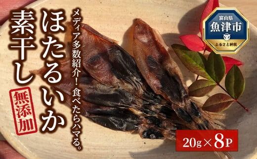 ほたるいか 素干し 160g (20g×8袋 )セット | 全国水産加工業協同組合連行会会長賞受賞 浜浦水産 おつまみ つまみ 珍味 いか イカ 干物 ひもの 魚介 魚介類 海鮮　※北海道、沖縄、離島への配送不可