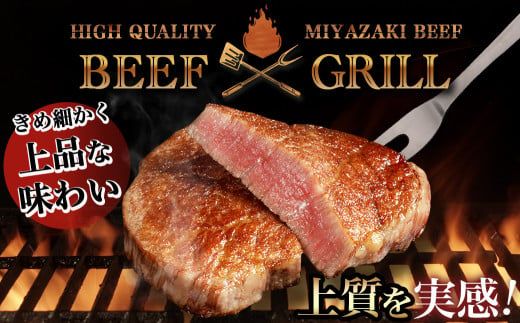 宮崎牛ヒレブロック500g_22-8905_( 都城市 ) 牛肉 宮崎県産 宮崎牛 真空パック ヒレブロック 高級部位 枝肉の3％ 希少な部位 やわらか 脂肪分が少ない お好みサイズ カット 