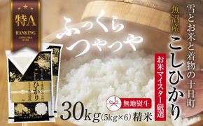 【無地熨斗】 魚沼産 コシヒカリ 5kg ×6袋 計30kg お米 こしひかり 新潟 （お米の美味しい炊き方ガイド付き） 精米 ご飯 ブランド米 銘柄米 