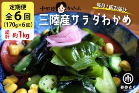 【2つの食感】6回 定期便  三陸産 サラダわかめ 170g ×6回 総計 約1kg [小野徳 宮城県 気仙沼市 20565589] 海藻 ワカメ わかめ 若布 塩蔵わかめ 塩蔵 コリコリ シャキシャキ 冷蔵