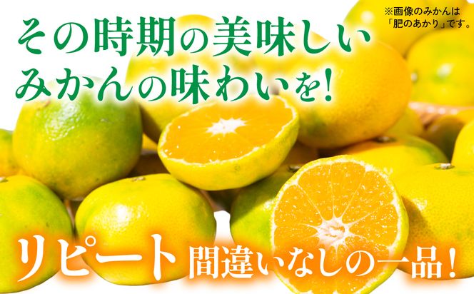 【先行予約】 数量限定 八代市東陽町産の季節のみかん5kg みかん 柑橘 フルーツ 果物 果実 ミカン 蜜柑 熊本県 八代市 【2026年9月下旬より順次発送】