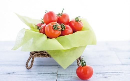 御殿場 中玉トマト シンディスイート 6パック（約1.2kg） ※～2026年7月発送