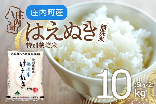 庄内町産 特別栽培米 はえぬき 無洗米 10kg 5kg×2袋 令和7年産 2025年産 余目産 余目町農協 あまるめ ブランド米 米 国産 単一原料米 山形 庄内平野 コシヒカリの原点、亀の尾発祥の地 庄内