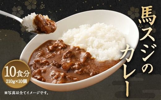 馬スジのカレー 10食セット 10人前 合計2.1kg 馬スジ 馬肉 カレー レトルト