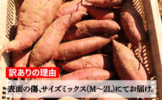 訳あり 熟成 紅はるか 5kg さつまいも いも 低温熟成 完全熟成収穫  M～2Lサイズ 高糖度 料理 国産 愛媛県 愛南町青果市場 発送時期：12月下旬～5月下旬（なくなり次第終了）
