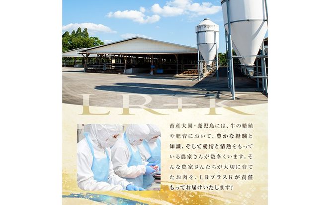 【小分け】＜A5等級＞鹿児島県産黒毛和牛 赤身ステーキ(300g×2パック・計600g) a8-080