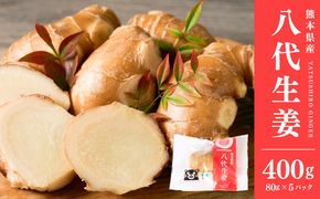 八代生姜80g×5パック 合計400g しょうが ショウガ ガリ ジンジャー 野菜 食品 薬味 生姜焼き しょうが焼き 温活 冷え性 対策 熊本県 八代市 東陽町 産地直送 国産