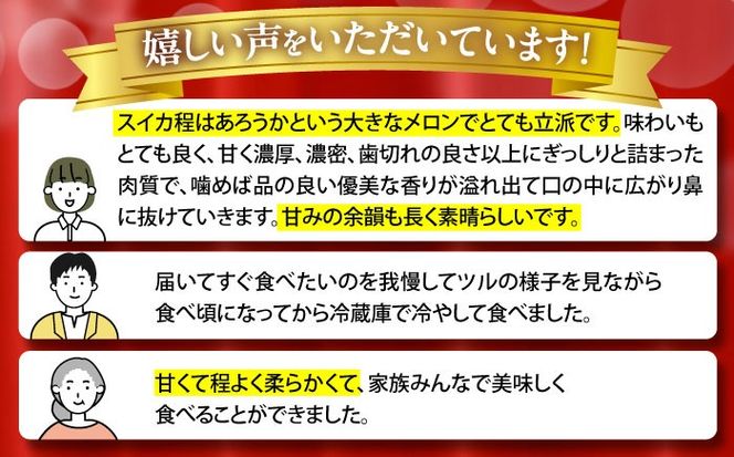 【2025年7月上旬〜発送】【平成新山メロンPREMIUM（とみちゃん厳選）】グリーンメロン 2玉 / メロン めろん 果物 フルーツ / 南島原市 / うえだメロン園 [SAD003] 