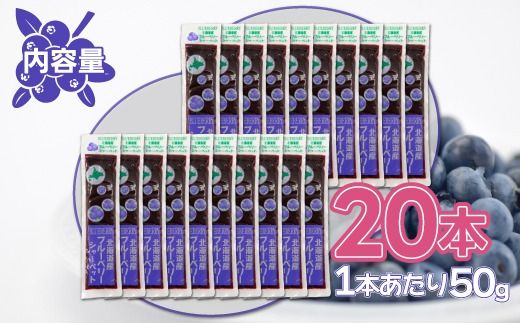 北海道 豊浦町 ブルーベリーシャーベット 20本 【 ふるさと納税 人気 おすすめ ランキング 果物 ブルーベリー 国産ブルーベリー ブルーベリーシャーベット 大容量 おいしい 美味しい 甘い 北海道 豊浦町 送料無料 】TYUN012