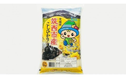 茨城県 筑西市産 コシヒカリ 5kg 三ツ星 マイスター 米 コメ こしひかり 単一米 精米 [CH003ci]